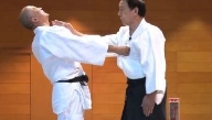 大東流合気柔術の極意〜一瞬で相手を無力化する合気の教科書〜
