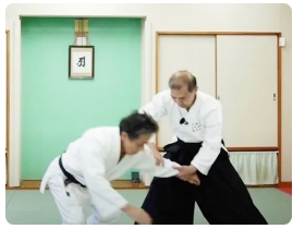 名人・佐川幸義が遺した秘伝の技と合気養成術