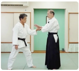 名人・佐川幸義が遺した秘伝の技と合気養成術