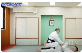 名人・佐川幸義が遺した秘伝の技と合気養成術