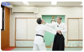 名人・佐川幸義が遺した秘伝の技と合気養成術