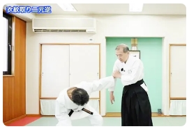 名人・佐川幸義が遺した秘伝の技と合気養成術