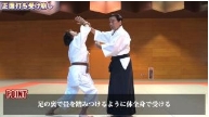 大東流合気柔術の極意〜一瞬で相手を無力化する合気の教科書〜